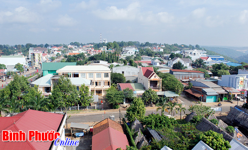 Phước long: Chuyển biến t&iacute;ch cực về c&ocirc;ng t&aacute;c c&aacute;n bộ, đảng vi&ecirc;n