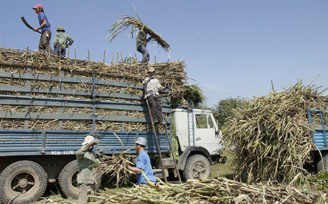 Chất lượng thấp nhưng giá đường VN đắt gấp đôi thế giới