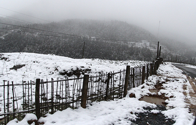 Du khách thích thú ngắm tuyết Sa Pa