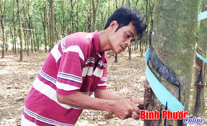 Điểu Zơt giàu nhờ chịu khó làm vườn