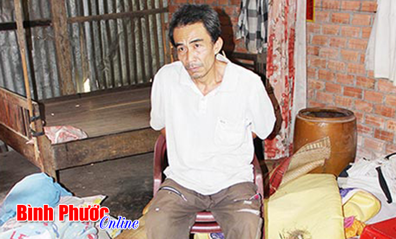 Bắt quả tang trồng v&agrave; b&aacute;n cần sa