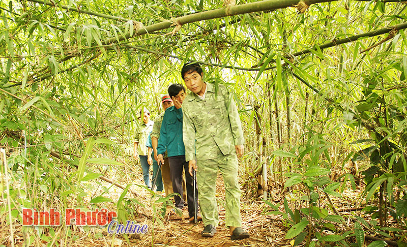 Cho cuộc sống thêm xanh  