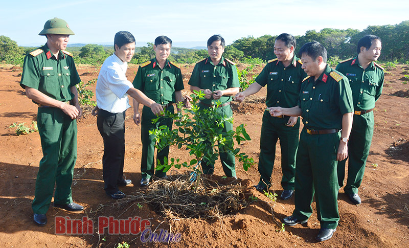 Trung đo&agrave;n 719 - điểm s&aacute;ng ở B&ugrave; Đăng