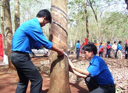 11 chỉ tiêu trọng tâm và các công trình thanh niên năm 2015