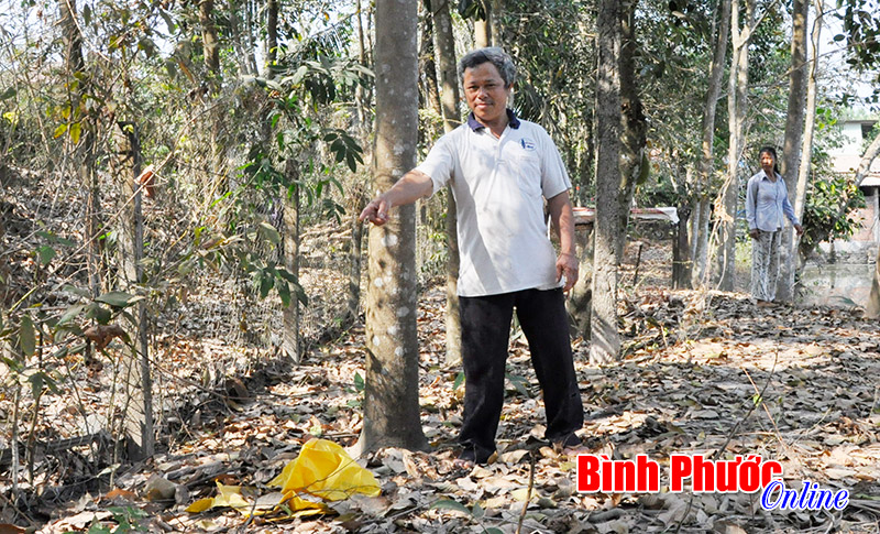Về việc 10 năm đi chứng minh bờ ao chỉ là... cái bờ ao: chờ một giải pháp thấu tình đạt lý