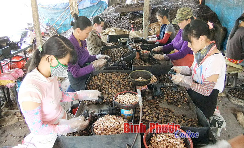 Luật BHXH đảm bảo lợi ích lâu dài cho người lao động