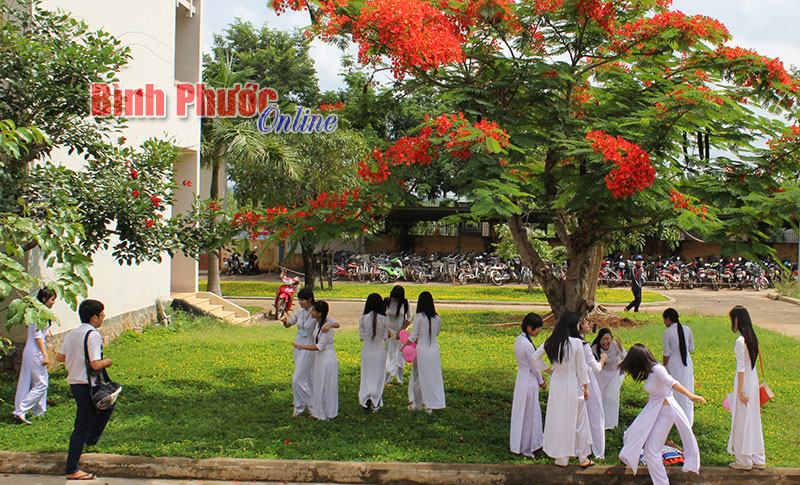 Sẽ không còn đường vòng vào đại học