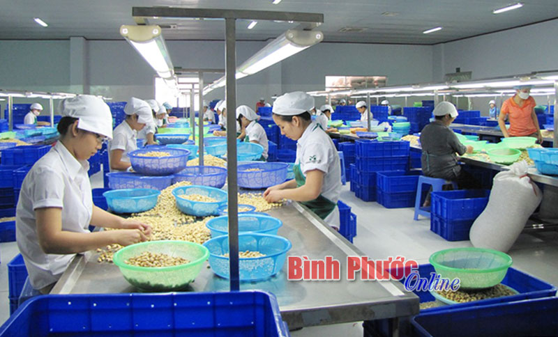 Phải kiên quyết với những doanh nghiệp cố tình chây ỳ nợ thuế