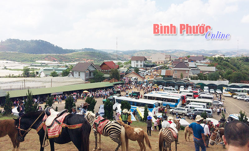 Đà Lạt những ngày cuối tháng 4