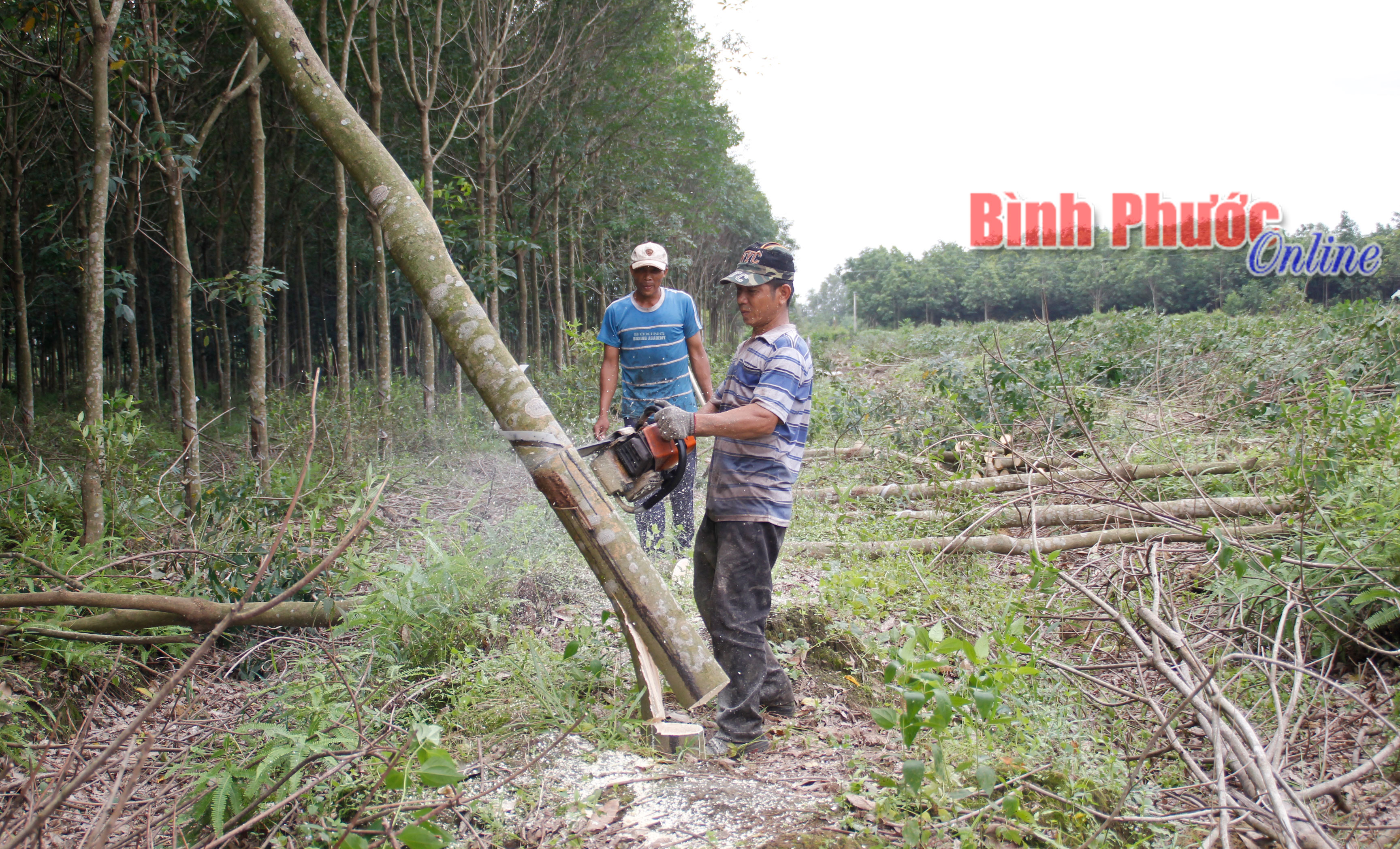 Những kiến nghị của cử tri B&igrave;nh Phước với Quốc hội, Ch&iacute;nh phủ v&agrave; c&aacute;c bộ