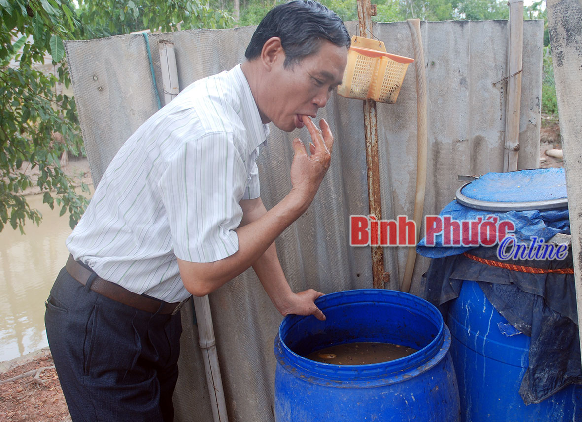 “Thần dược” mới cho rau sạch