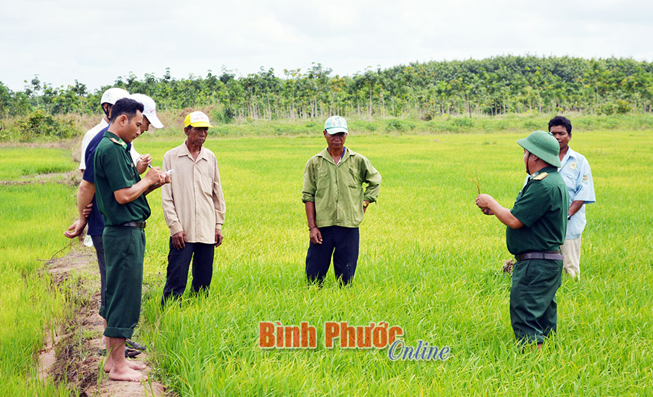 Những người giữ vững &ldquo;ph&ecirc;n giậu&rdquo; bi&ecirc;n cương