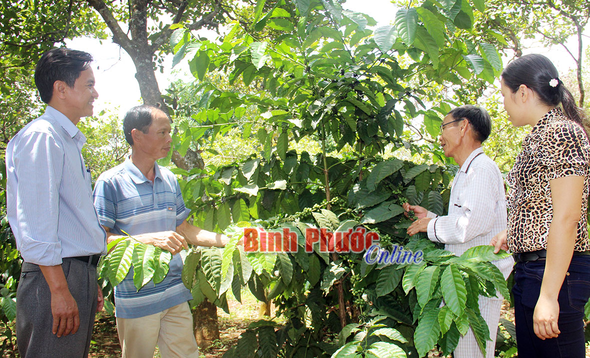 Phát triển kinh tế hội viên làm trọng tâm