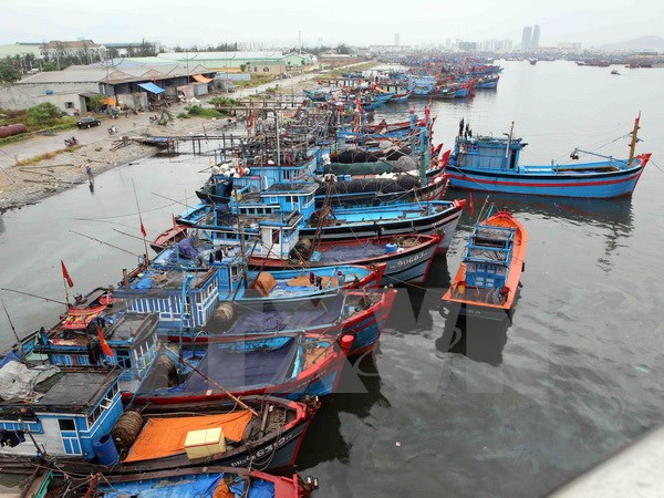 Gần sáng 23-6, tâm bão số 1 đi vào vùng biển Đông Bắc vịnh Bắc Bộ