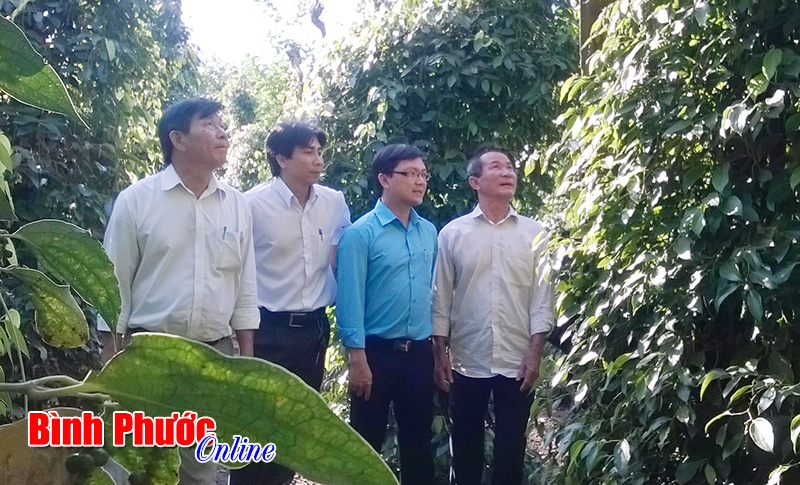 B&ugrave; đốp: 3 vấn đề lớn c&ograve;n &ldquo;lỗi hẹn&rdquo; người d&acirc;n