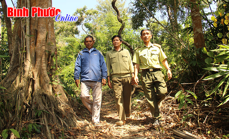 B&ugrave; Gia Mập gắn quy hoạch đất với giải quyết di d&acirc;n, bảo vệ rừng