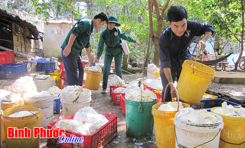 Đảng bộ N&ocirc;ng trường 6 giữ vững danh hiệu trong sạch vững mạnh