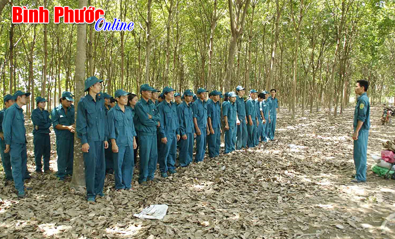 50 d&acirc;n qu&acirc;n tự vệ được huấn luyện ch&iacute;nh trị - qu&acirc;n sự