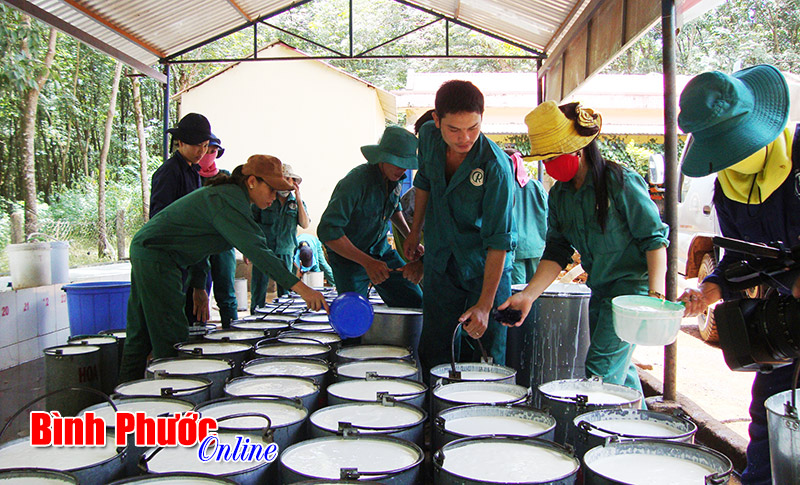 Điểm s&aacute;ng học v&agrave; l&agrave;m theo B&aacute;c