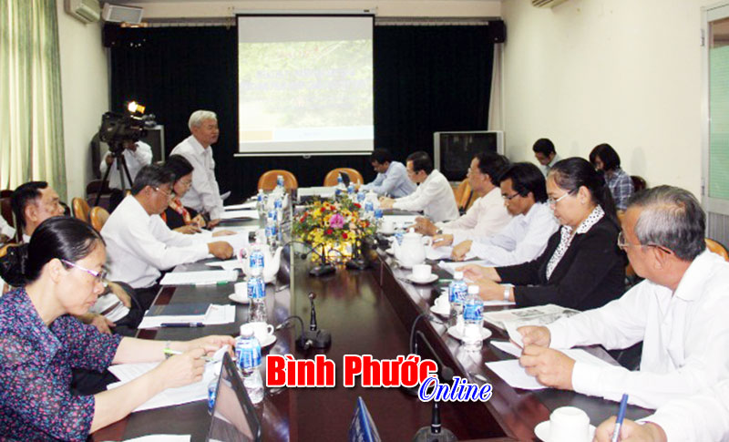 Ghép chồi - phương pháp “cứu cánh” cho vườn điều