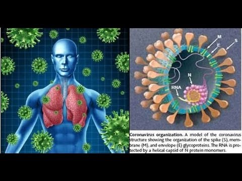 Bộ Y tế đưa ra các khuyến cáo phòng tránh MERS-CoV 