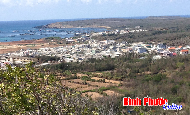 Nghĩa t&igrave;nh nơi đầu s&oacute;ng ngọn gi&oacute;