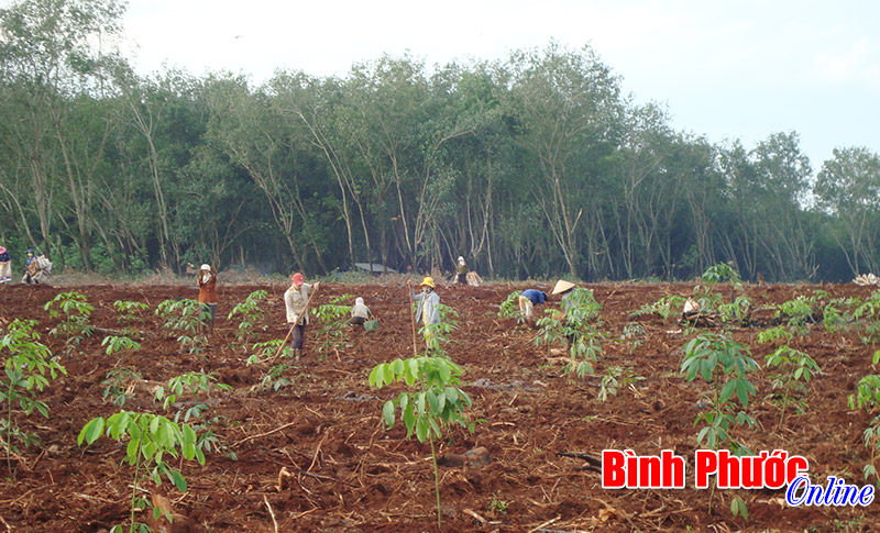 Những giải ph&aacute;p chiến lược ph&aacute;t triển sản xuất - kinh doanh bền vững