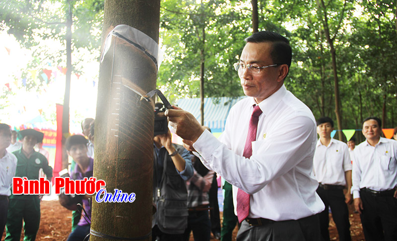 Ph&aacute;t huy truyền thống, đồng thuận cao v&igrave; &ldquo;C&ocirc;ng nh&acirc;n gi&agrave;u - c&ocirc;ng ty mạnh&rdquo;