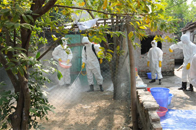 Tăng cường công tác phòng, chống dịch bệnh mùa lễ hội 2015