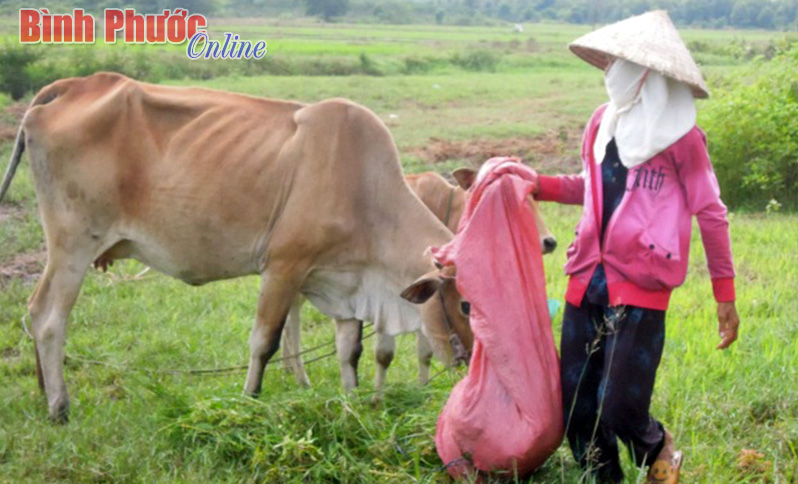 Sao lại thích nghèo!?