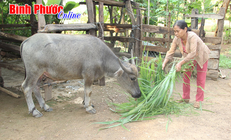 Tấn gạo nghĩa tình nơi vùng biên