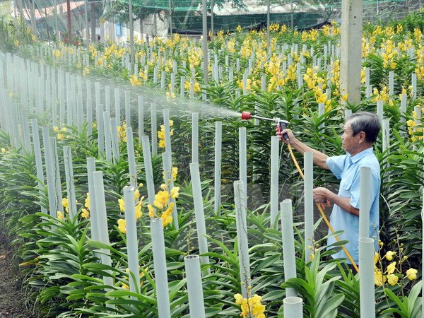 Định hướng công tác tuyên truyền về xây dựng nông thôn mới