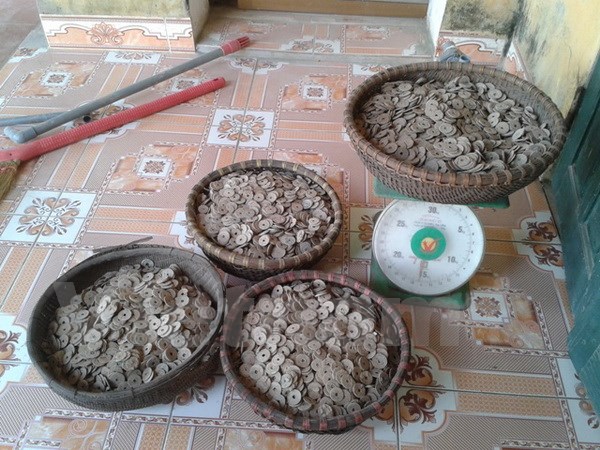 Phát hiện hơn 50kg tiền cổ khi đào đất để xây bể chứa nước