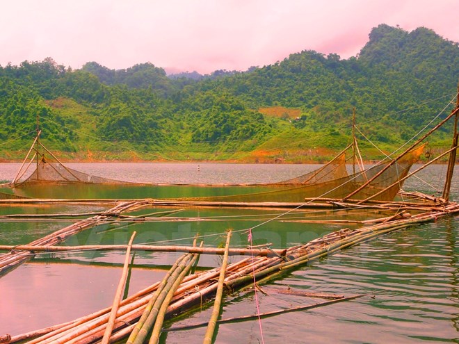 Tận diệt thủy sản không thương tiếc ở hồ thủy điện Tuyên Quang