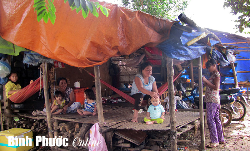 Vừa hỗ trợ vừa quản l&yacute; chặt chẽ đối tượng từ Campuchia di cư tự do về nước