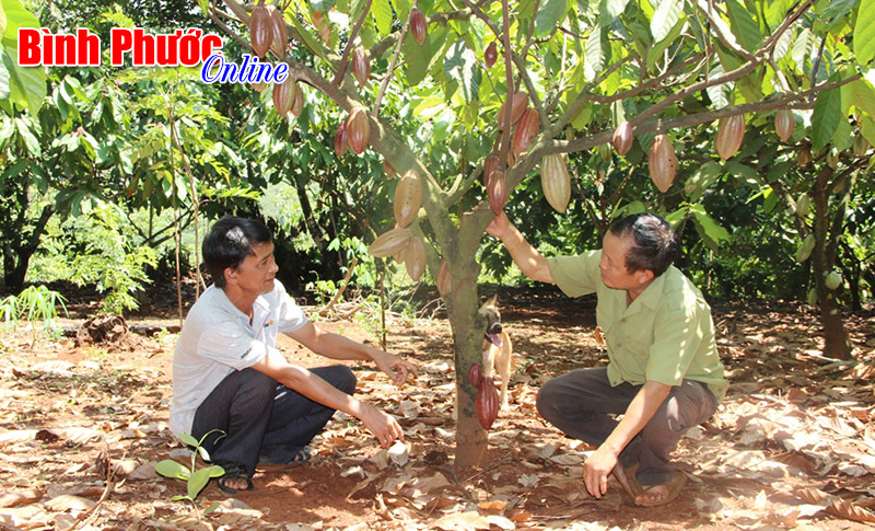 X&atilde; Thống Nhất: D&ugrave;ng sức d&acirc;n để lo cho d&acirc;n