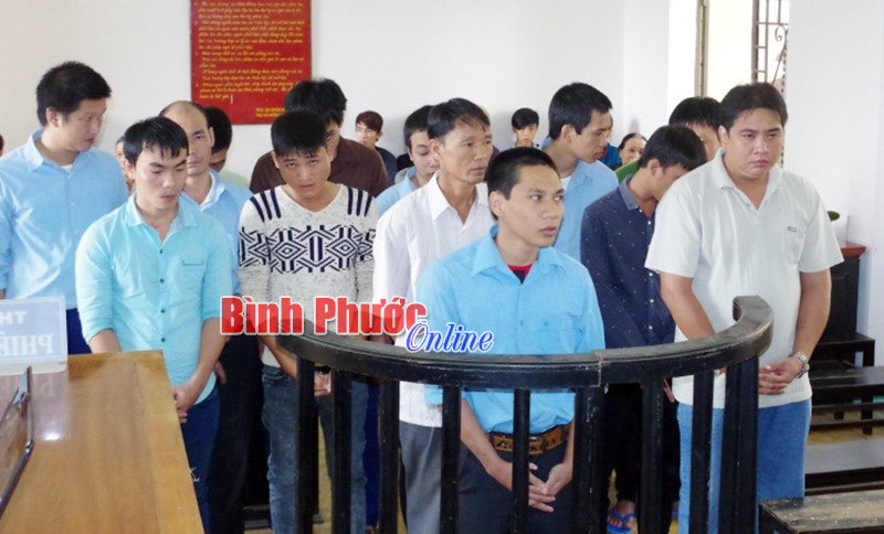 162 th&aacute;ng t&ugrave; cho 15 &ldquo;con bạc&rdquo; m&ecirc; x&oacute;c đĩa