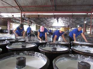 Đại hội Đảng bộ c&ocirc;ng ty TNHH MTV cao su Lộc Ninh