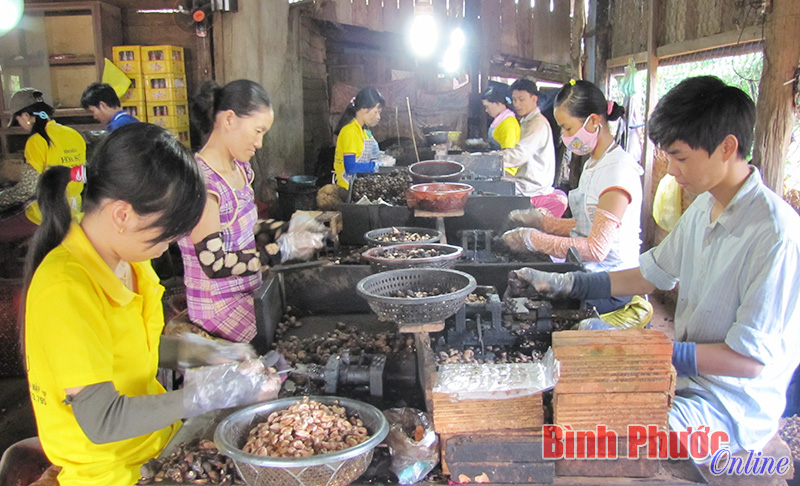 28 cơ sở vi phạm về an toàn thực phẩm nông - lâm sản và thủy sản