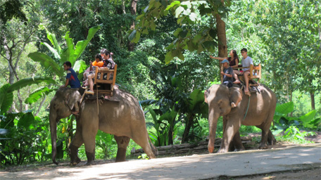 Huyền b&iacute; đất nước Triệu Voi (Kỳ 1)