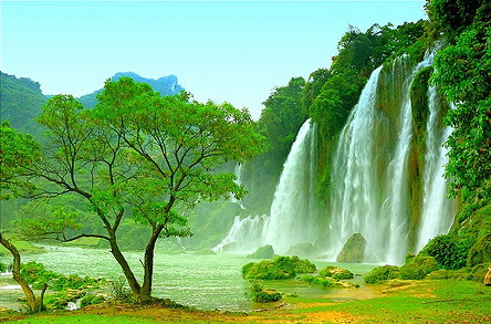 Ký Sự - Từ Pắc Bó về Ba Đình - Tập 5