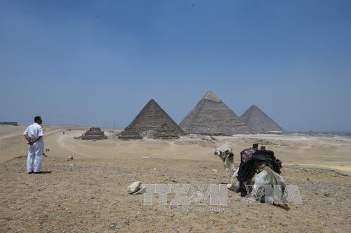 Ai Cập xác nhận 7 người Mexico thiệt mạng trong vụ bắn nhầm du khách