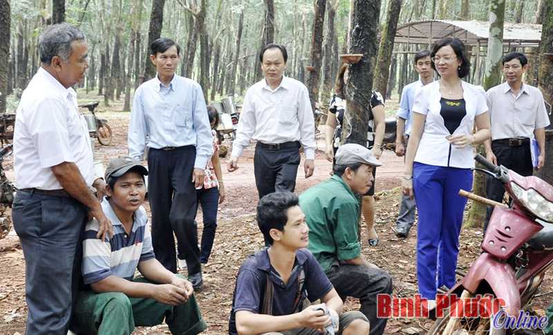 Đào tạo nghề cho lao động DTTS phải gắn với “địa chỉ” và nhu cầu của doanh nghiệp