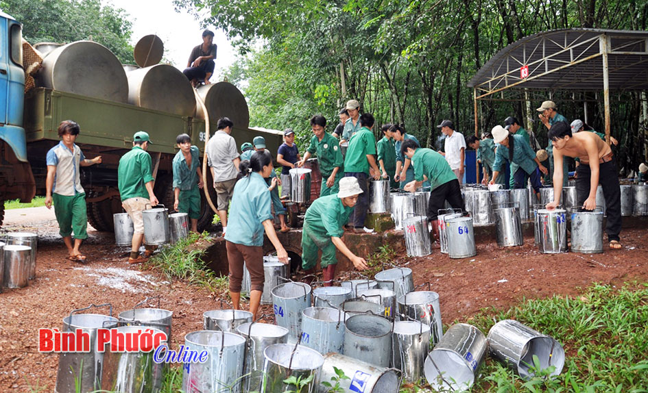 Học v&agrave; l&agrave;m theo B&aacute;c ở N&ocirc;ng trường Lợi Hưng