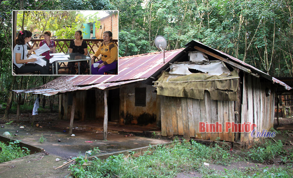 Lừa đảo h&agrave;ng tỷ đồng vẫn nhởn nhơ ngo&agrave;i v&ograve;ng ph&aacute;p luật (B&agrave;i 1)