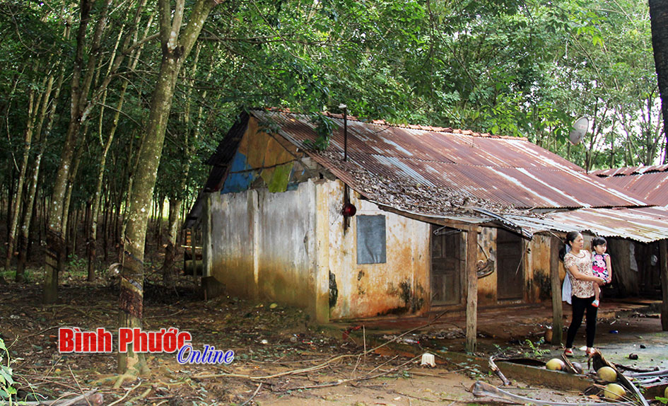 Lừa đảo h&agrave;ng tỷ đồng vẫn nhởn nhơ ngo&agrave;i v&ograve;ng ph&aacute;p luật (B&agrave;i cuối)