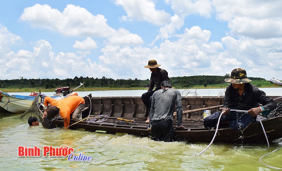 Mưu sinh nghề chà ở thượng nguồn sông Sài Gòn