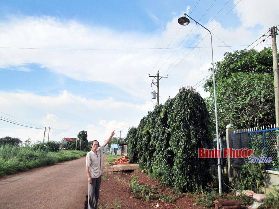 Xã hội hóa làm đường nông thôn ở Bù Đăng