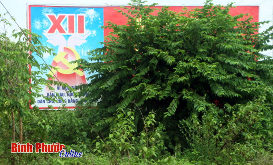 Pa-n&ocirc; tuy&ecirc;n truyền &ldquo;n&uacute;p&rdquo; trong l&ugrave;m c&acirc;y