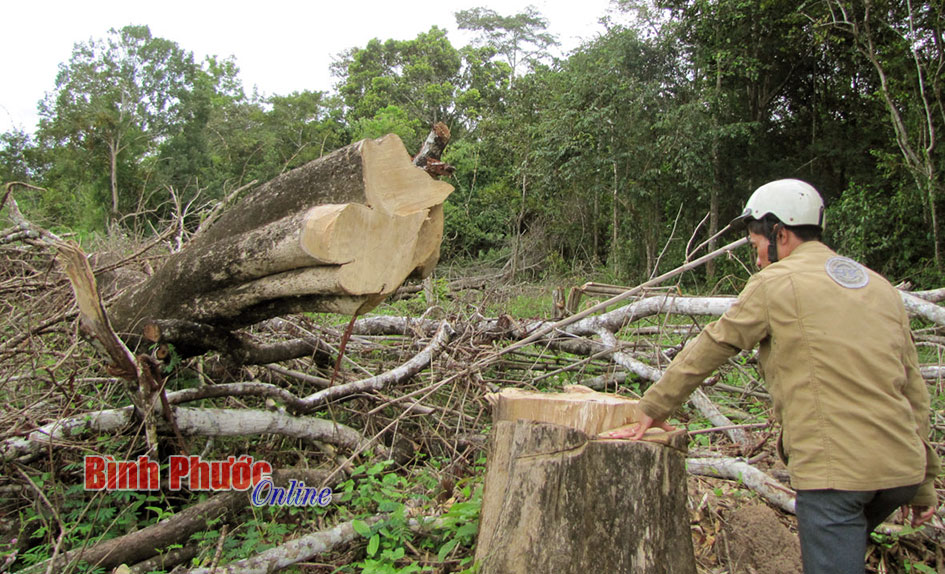 Đ&oacute;ng g&oacute;p cho dự thảo văn kiện Đại hội Đảng bộ tỉnh lần thứ X